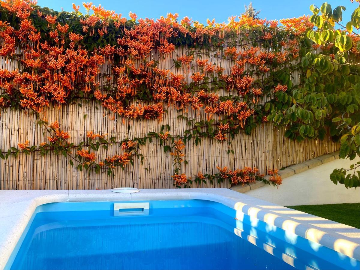 Suite Breeze - Private Heated Pool مالقة المظهر الخارجي الصورة