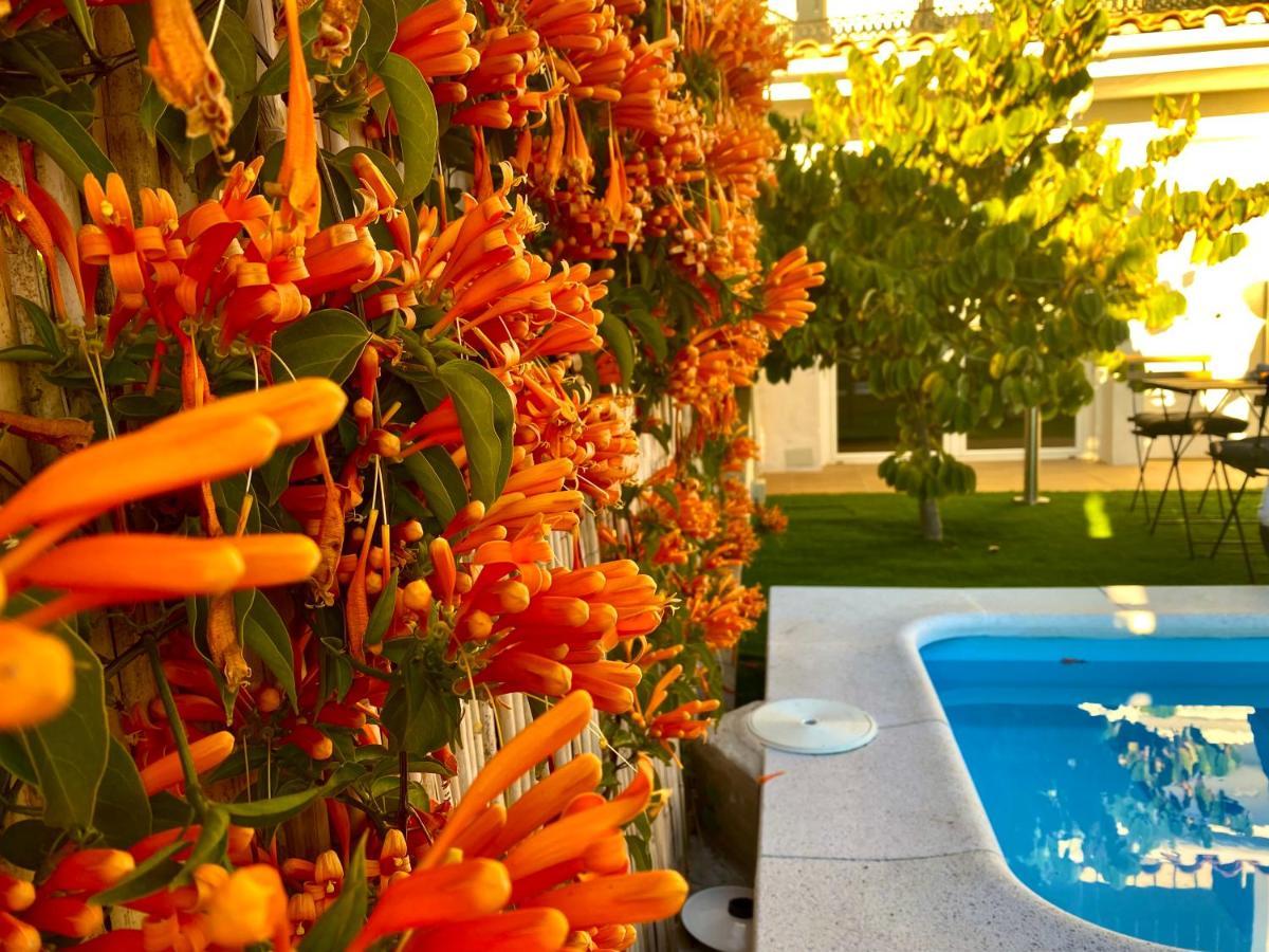 Suite Breeze - Private Heated Pool مالقة المظهر الخارجي الصورة